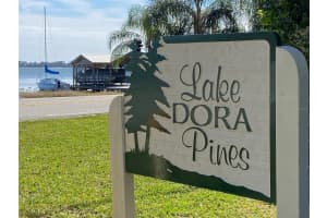 670 OLEANDER STREET, MOUNT DORA, FL 32757 Sold 04/05/23