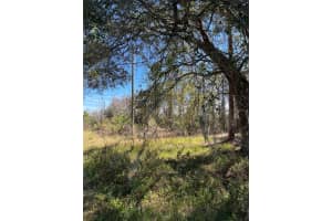 MOUNT PLEASANT RD, GROVELAND, FL 34736 - MLS#MFRG5064948