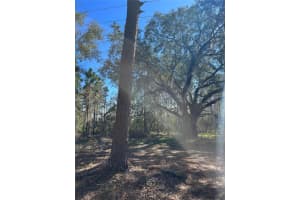 MOUNT PLEASANT RD, GROVELAND, FL 34736 - MLS#MFRG5064948