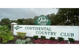 41 BOBWHITE ROAD, WILDWOOD, FL 34785 Sold 03/30/23