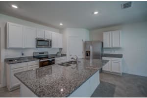3941 CRIMSON CLOVER DRIVE, MOUNT DORA, FL 32757 Sold 03/31/23
