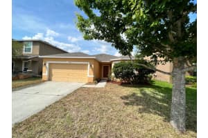 3614 UMBRELLA COURT, TAVARES, FL 32778 Sold 06/06/23