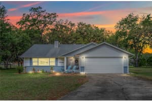 611 FANNICH COURT, LEESBURG, FL 34788 Sold 06/09/23