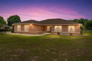 4950 COUNTY ROAD 134B, WILDWOOD, FL 34785 Sold 12/03/24
