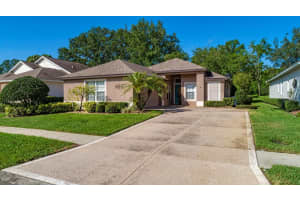 7003 ARCADIAN COURT, MOUNT DORA, FL 32757 Sold 08/07/23