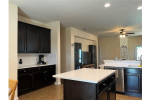 30232 CHEVAL STREET, MOUNT DORA, FL 32757 Sold 06/23/23