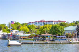 601 MCDONALD STREET, MOUNT DORA, FL 32757 Sold 06/23/23