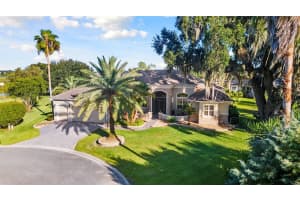 629 TERNBERRY FOREST DRIVE, THE VILLAGES, FL 32162 Sold 03/14/24