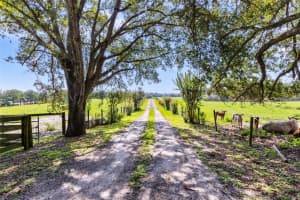 6878 ROUND LAKE ROAD, MOUNT DORA, FL 32757 Sold 10/17/24
