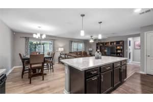 6500 DOMENICO COURT, GROVELAND, FL 34736 Sold 08/17/23