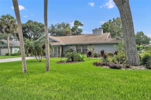 11721 RIVERHAVEN DRIVE, HOMOSASSA, FL 34448 Sold 09/26/23
