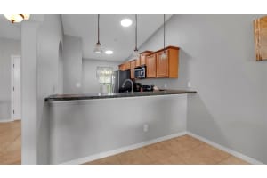 146 CATALDO WAY, GROVELAND, FL 34736 Sold 11/01/23