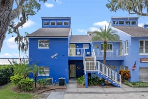 343 MCDONALD STREET, MOUNT DORA, FL 32757 Sold 10/23/23