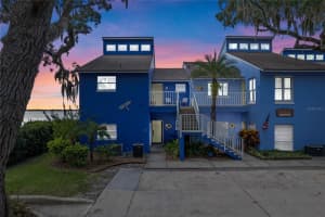 343 MCDONALD STREET, MOUNT DORA, FL 32757 Sold 10/23/23
