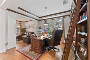 14131 MAGNOLIA RIDGE LOOP, WINTER GARDEN, FL 34787 Sold 12/04/23