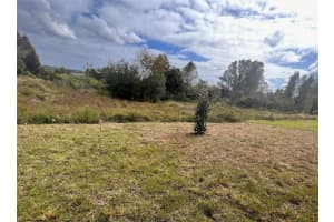 3050 SUNSCAPE TERRACE, GROVELAND, FL 34736 Sold 12/18/23