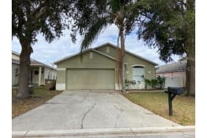 17709 PEBBLE CREEK CT, CLERMONT, FL 34714 Sold 05/06/24