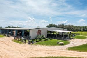 40812 GRAYS AIRPORT ROAD, LADY LAKE, FL 32159 Sold 03/20/25