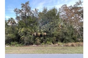 11631 TIMBERLANE DRIVE, HOMOSASSA, FL 34448 - MLS#MFRG5075848