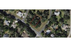 11631 TIMBERLANE DRIVE, HOMOSASSA, FL 34448 - MLS#MFRG5075848