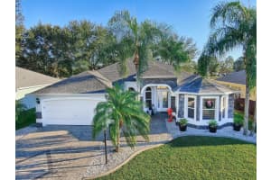 2411 TAMARINDO DRIVE, THE VILLAGES, FL 32162 Sold 02/07/24