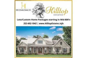 Lot 1 PANORAMIC VIEW DRIVE, APOPKA, FL 32712 Sold 05/20/25