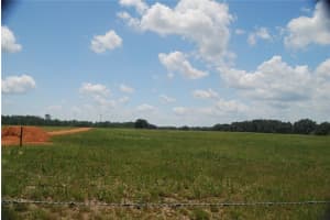 LAKE ERIE, GROVELAND, FL 34736 - MLS#MFRG5076345
