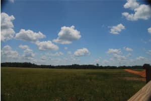 LAKE ERIE, GROVELAND, FL 34736 - MLS#MFRG5076347