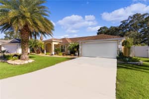 12439 48TH CIRCLE, OXFORD, FL 34484 Sold 10/11/24