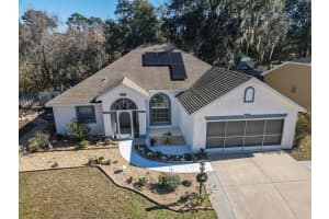 11533 LAKE DRIVE, LEESBURG, FL 34788 Sold 04/24/24