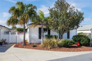 17828 91ST FREEDOM COURT, THE VILLAGES, FL 32162 Sold 06/11/24