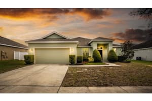 215 BLACKSTONE CREEK ROAD, GROVELAND, FL 34736 Sold 04/29/24
