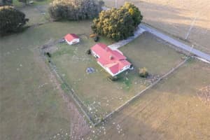 1653 COUNTY ROAD 222, WILDWOOD, FL 34785 Sold 11/20/24