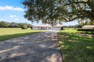 1653 COUNTY ROAD 222, WILDWOOD, FL 34785 Sold 11/20/24
