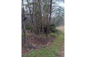 5144 OSMOND LANE, DUNNELLON, FL 34433 - MLS#MFRG5077196