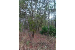 5144 OSMOND LANE, DUNNELLON, FL 34433 - MLS#MFRG5077196