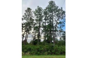 RALSTON ST, ORLANDO, FL 32833 - MLS#MFRG5077293