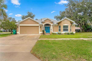 1207 OAK HAMMOCK LANE, LADY LAKE, FL 32159 Sold 12/30/24