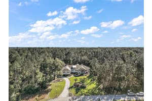 7071 NORNE LANE, MOUNT DORA, FL 32757 Sold 03/29/24