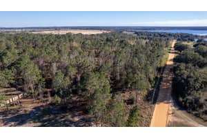 S O BRIEN RD, GROVELAND, FL 34736 - MLS#MFRG5077918
