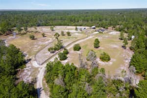 31215 SPRUCE DRIVE, EUSTIS, FL 32736 Sold 11/04/24