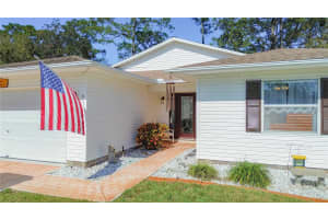 32676 OAK PARK DRIVE, LEESBURG, FL 34748 - MLS#MFRG5078770