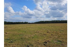 DEEN STILL RD E, POLK CITY, FL 33868 Sold 03/12/25