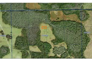 DEEN STILL RD E, POLK CITY, FL 33868 Sold 03/12/25