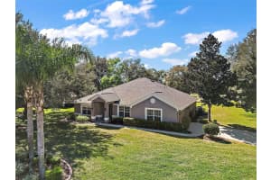 36601 OSHAWA LANE, EUSTIS, FL 32736 Sold 04/26/24