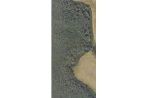 S BOGGY MARSH RD, CLERMONT, FL 34711 - MLS#MFRG5078907