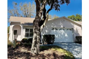 509 GOLFVIEW COURT, LEESBURG, FL 34748 Sold 09/06/24