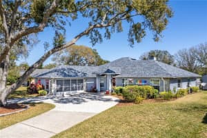 28724 TAMMI DRIVE, TAVARES, FL 32778 Sold 06/27/24