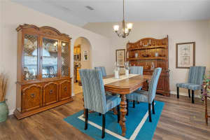 1036 TAWNY EAGLE DRIVE, GROVELAND, FL 34736 Sold 04/01/24