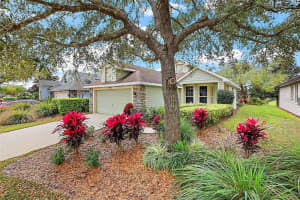 8221 BRIDGEPORT BAY CIRCLE, MOUNT DORA, FL 32757 Sold 03/28/24